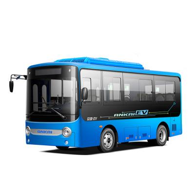 mini electric bus